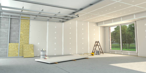 Best Eco-Friendly Insulation in Indian Lake, MO