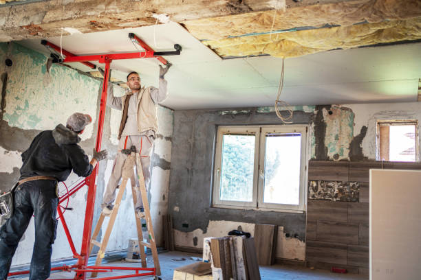 Best Geographic-Specific Insulation Services in Indian Lake, MO